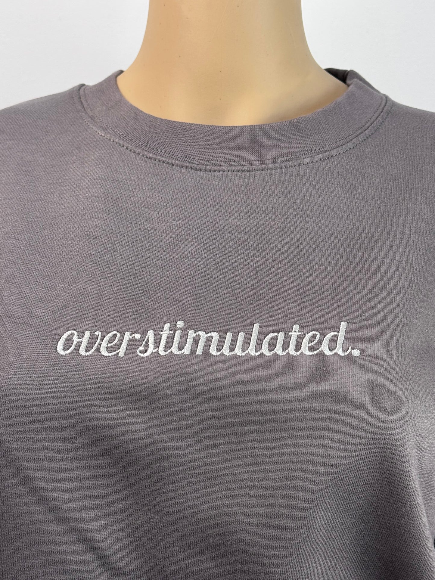 Overstimulated Embroidered Sweatshirt