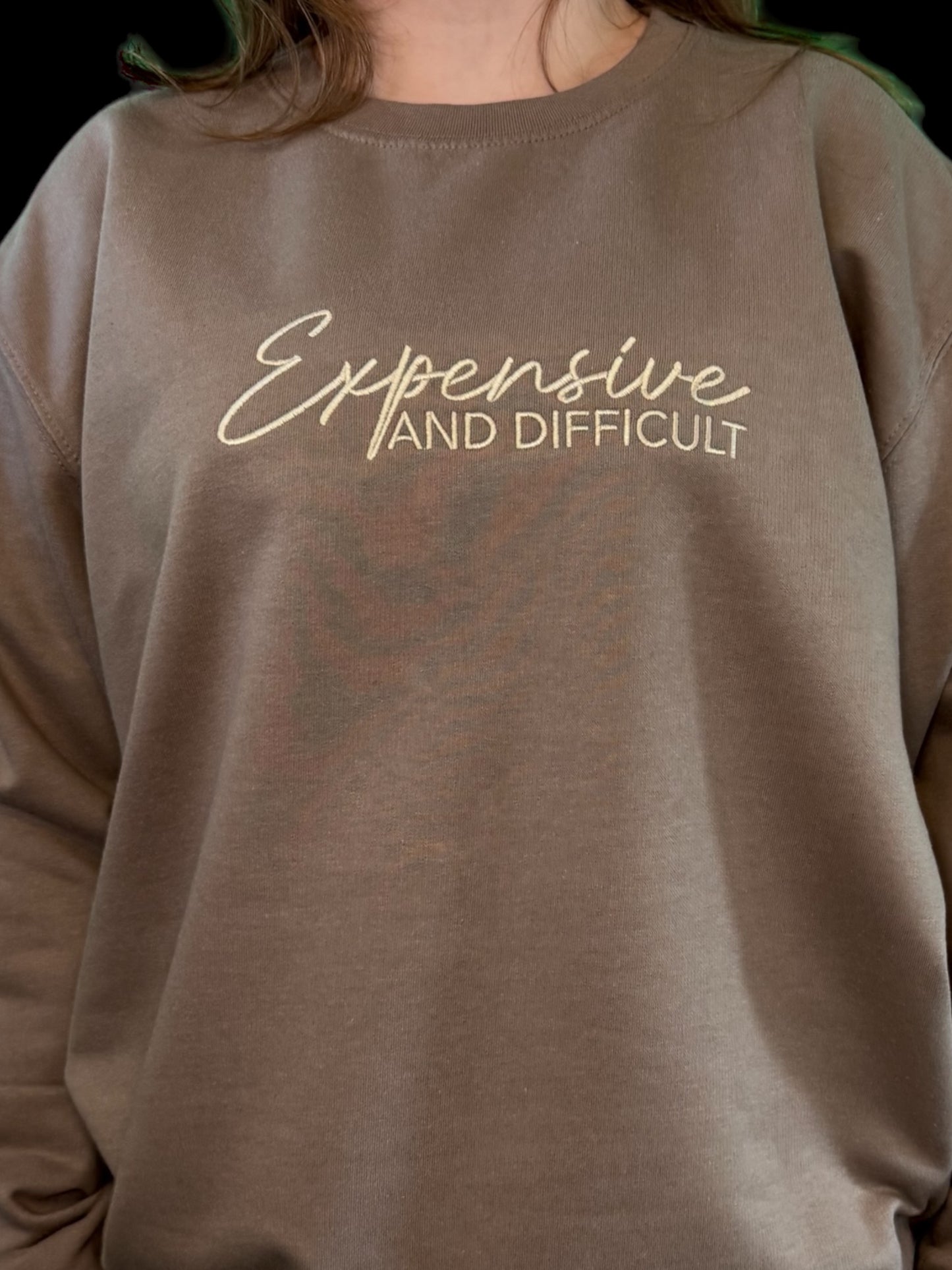 Expensive and Difficult - Embroidered Sweatshirt